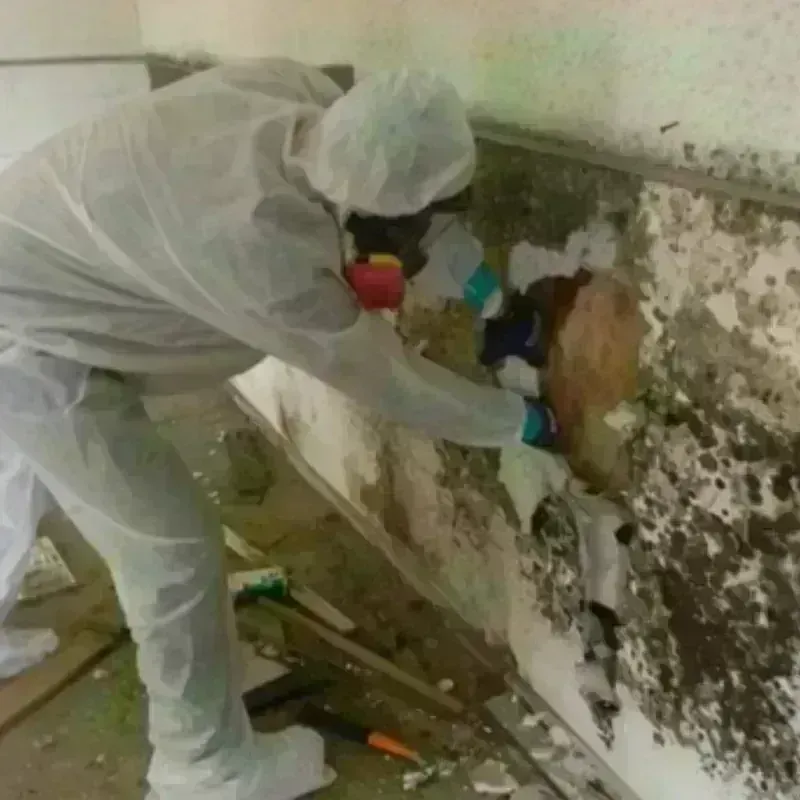 Mold Remediation and Removal in Munsey Park, NY